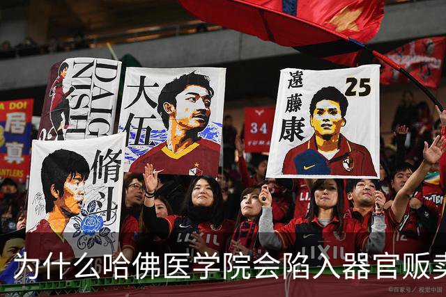 为什么哈佛医学院会陷入器官贩卖丑闻？